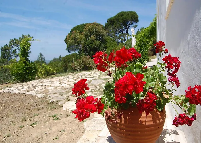 Вилла Family With Pool And Barbecue *