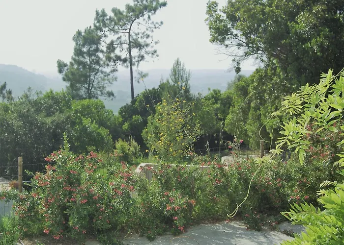 Family With Pool And Barbecue Алкобаса