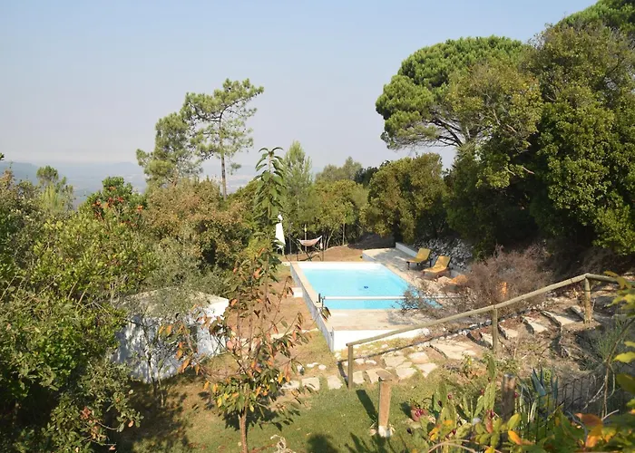 Family With Pool And Barbecue *