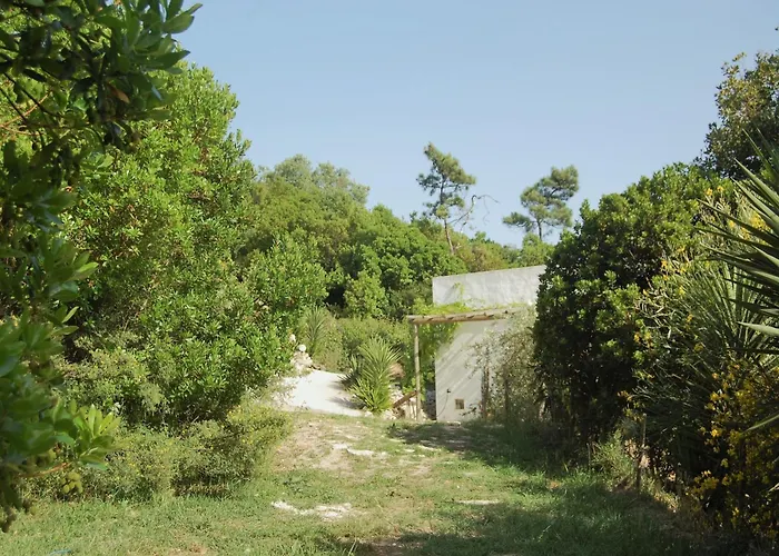 Family With Pool And Barbecue * Алкобаса
