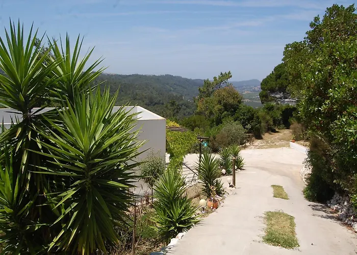 Family With Pool And Barbecue *