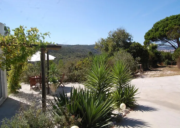 Family With Pool And Barbecue * Алкобаса